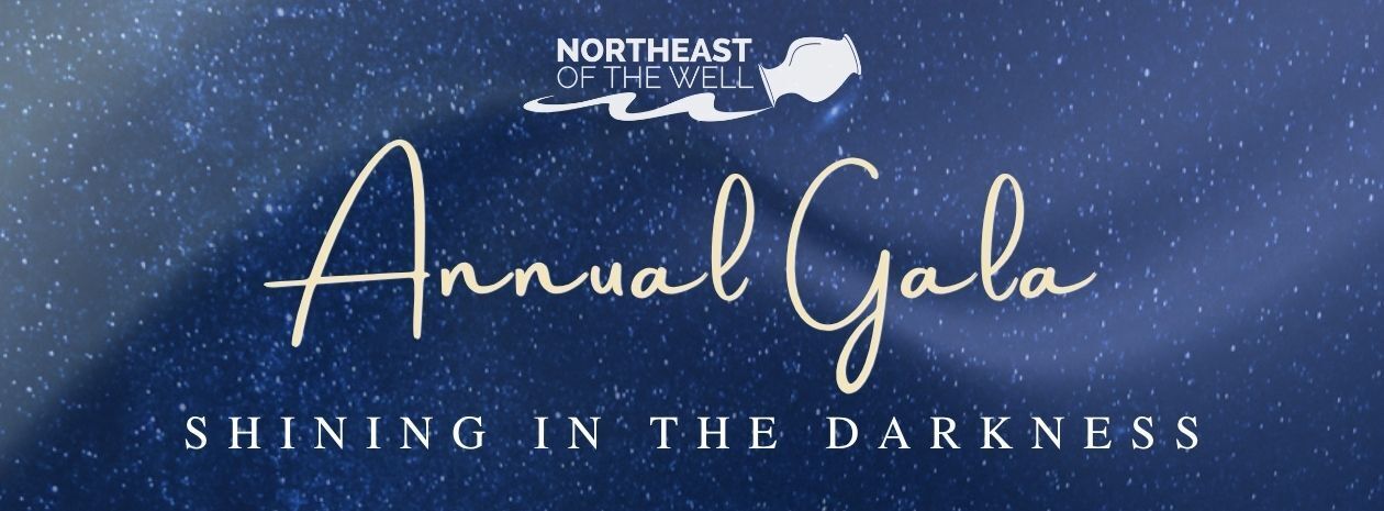 "Shining in the Darkness" - 2026 Annual Gala
