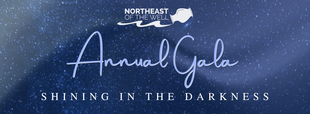 "Shining in the Darkness" - 2026 Annual Gala